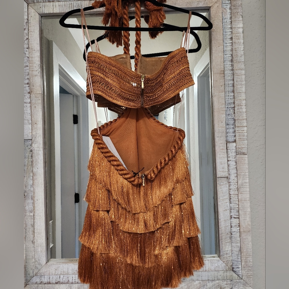 PatBO Pampas Metallic Fringe Minidress - Picture 11 of 17
